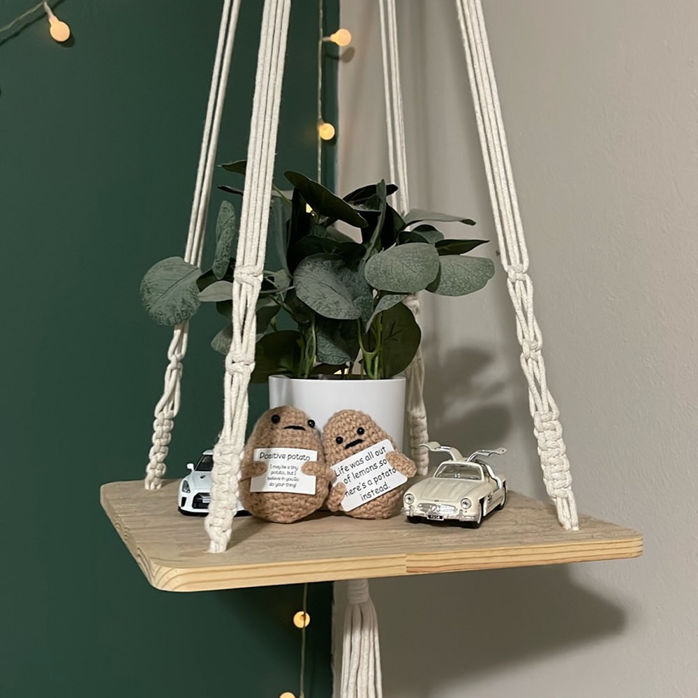 plant and plant hanger